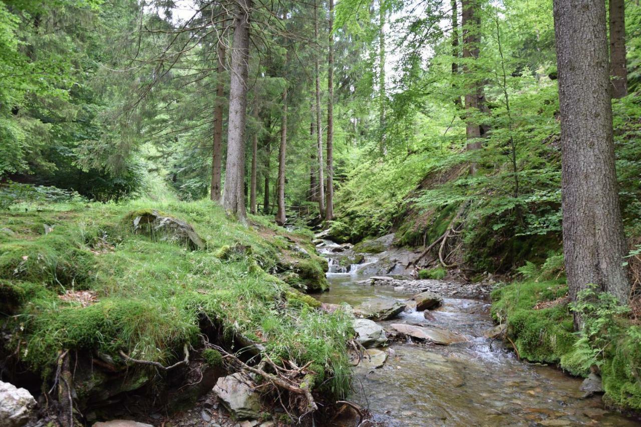 Marschalls Hotel Am Rennsteig 伦韦格地区诺伊豪斯 外观 照片